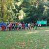 Bezirksmeisterschaft im Crosslauf in Mittweida