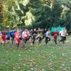 Bezirksmeisterschaft im Crosslauf in Mittweida