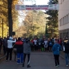 17. Werdauer Herbstmarathon