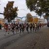 18. Dresden Marathon