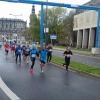 19. Dresden-Marathon