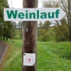 Elbtal-Weinlauf