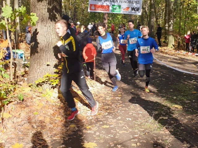 Windberglauf Freital mit LM Cross