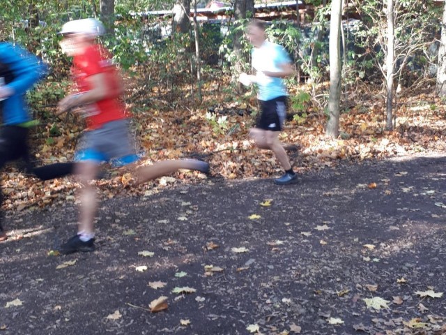 Windberglauf Freital mit LM Cross