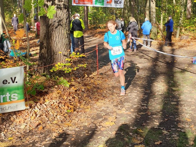 Windberglauf Freital mit LM Cross