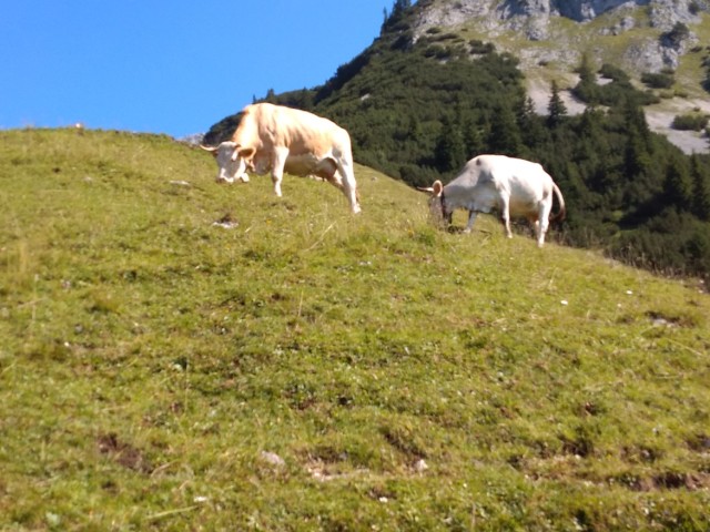 10. Zugspitz Ultratrail 2022