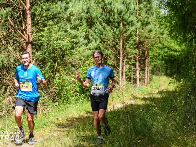 12. SachsenTrail auf dem Rabenberg