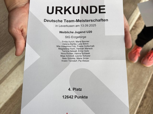 TeamDM
