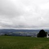 _MG_0783